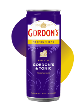 Gordon's Dry Can (purple